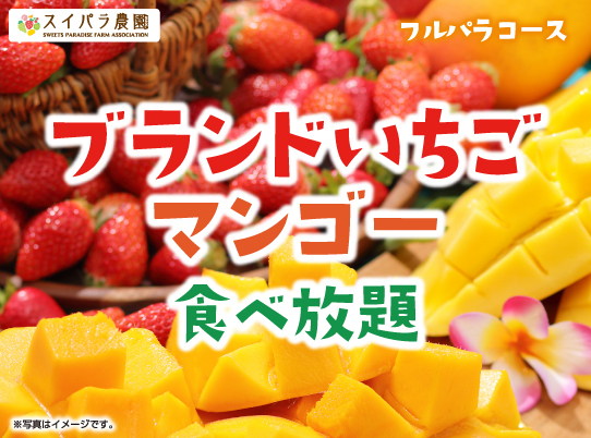 マンゴーが食べ放題に新登場！3/31より「ブラントいちご＆マンゴー食べ放題」を開催♪